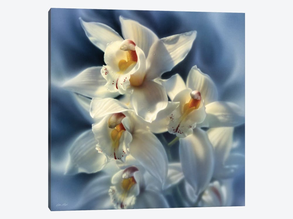 Orchids, Square by Collin Bogle 1-piece Art Print
