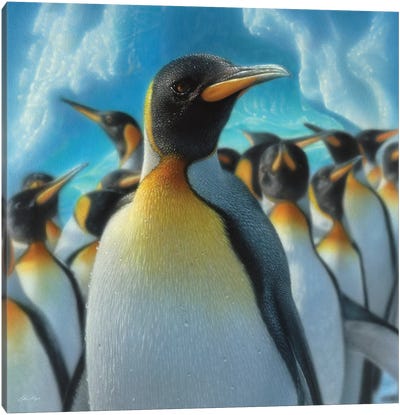 Penguin Paradise, Square Canvas Art Print - Penguin Art