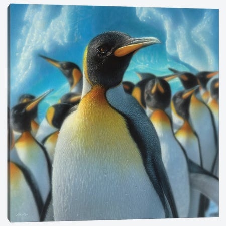 Penguin Paradise, Square Canvas Print #CBO56} by Collin Bogle Art Print