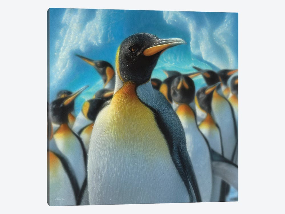 Penguin Paradise, Square 1-piece Canvas Artwork