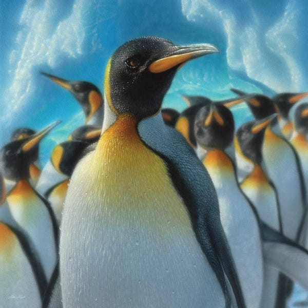 Collin Bogle: Penguin Paradise, Square by Collin Bogle