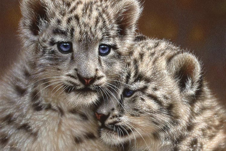 Snow Leopard Cub Playmates, Horizontal