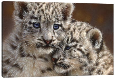 Snow Leopard Cub Playmates, Horizontal Canvas Art Print