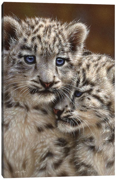 Snow leopard Cub Playmates, Vertical Canvas Art Print - Leopard Art