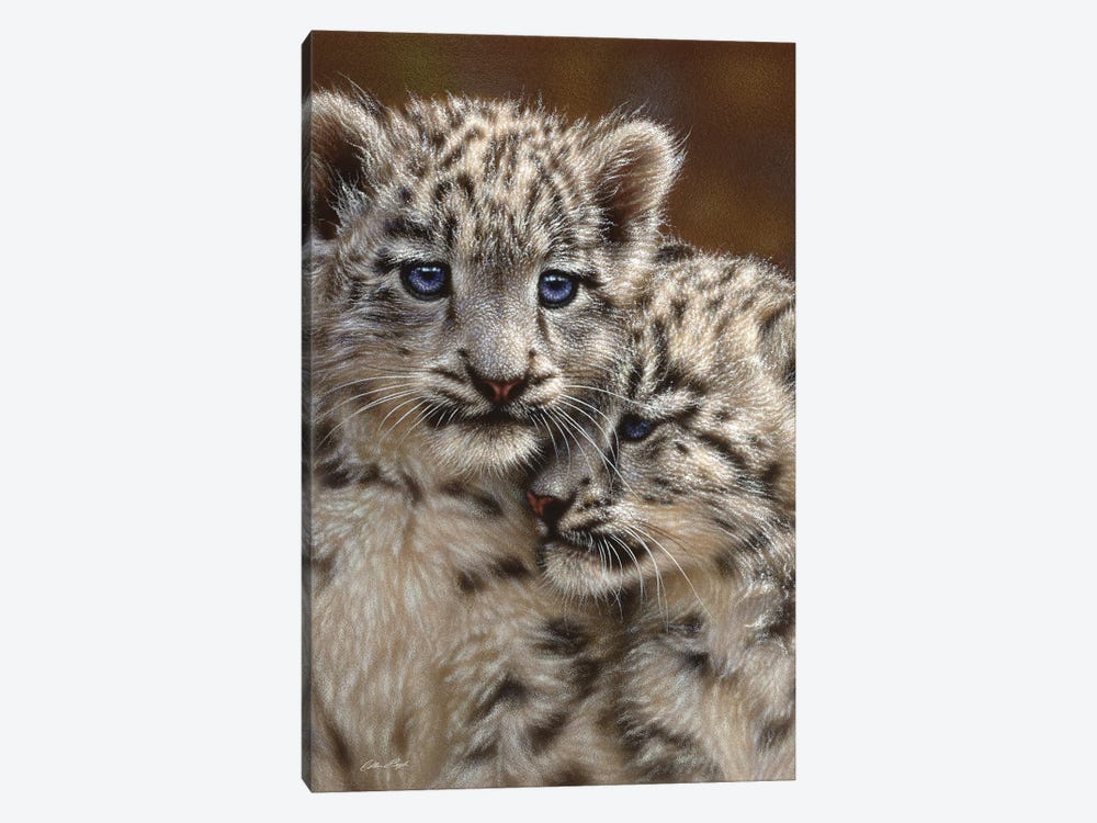 Snow leopard Cub Playmates, Vertical by Collin Bogle 1-piece Canvas Artwork