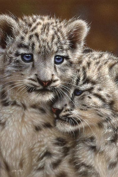 Leopards: Snow leopard Cub Playmates, Vertical by Collin Bogle