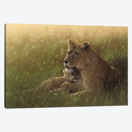 Safe Haven - Lion Mother & Cub, Horizontal Canvas Print #CBO60} by Collin Bogle Canvas Art Print