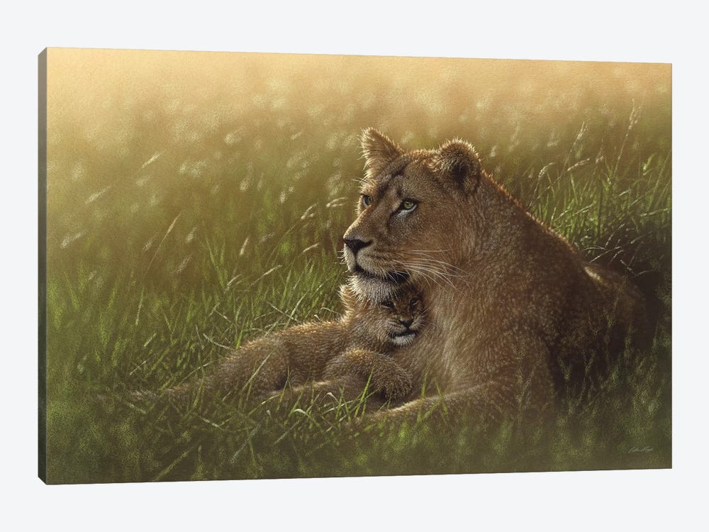 Safe Haven - Lion Mother & Cub, Horizontal by Collin Bogle 1-piece Art Print