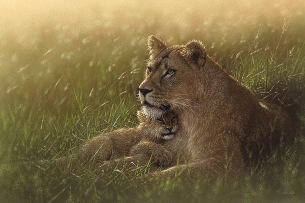 Collin Bogle: Safe Haven - Lion Mother & Cub, Horizontal by Collin Bogle