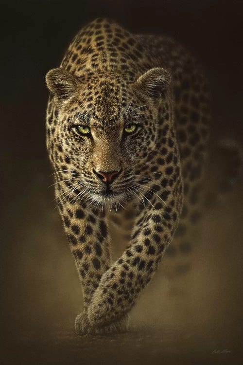 Savage Leopard, Vertical by Collin Bogle wall art