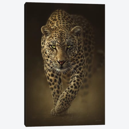 Savage Leopard, Vertical Canvas Print #CBO61} by Collin Bogle Art Print