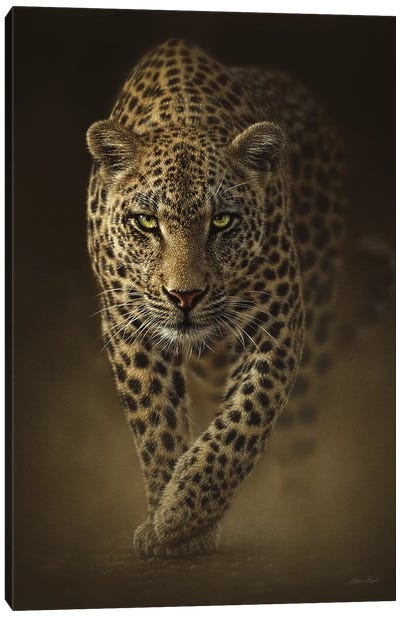 Savage Leopard, Vertical Canvas Art Print - Collin Bogle