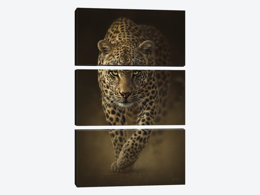 Savage Leopard, Vertical by Collin Bogle 3-piece Canvas Artwork