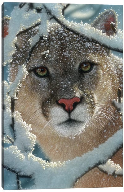 Silent Encounter - Cougar, Vertical Canvas Art Print - Cougars