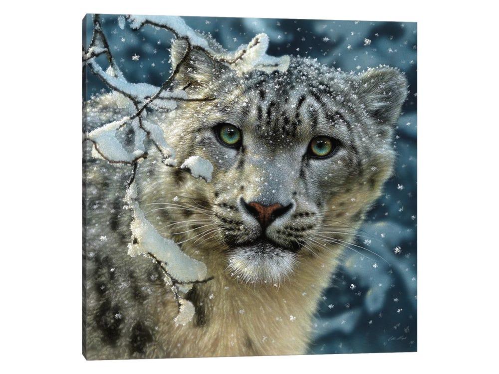Snow Leopard Cub, Snow Leopard Painting, Cute Kitten Art, Baby Animal  Print, Nursery Wall Art, Animal Illustration, Drawing, Canvas Artwork -   Canada