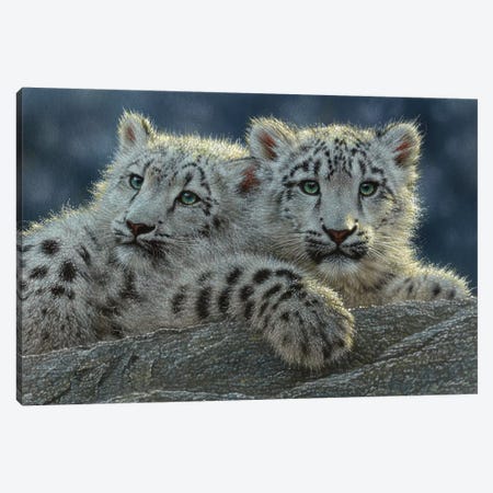 Blue Ice 1000 Piece Jigsaw Puzzle Collin Bogle Sunsout cat leopard snow wild art 