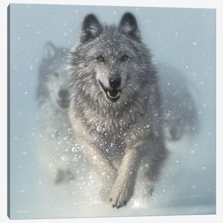 Northern Lights - Running Wolves, Square Ar - Art Print | Collin Bogle