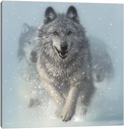 Snow Plow - Running Wolves, Square Canvas Art Print - Snowscape Art