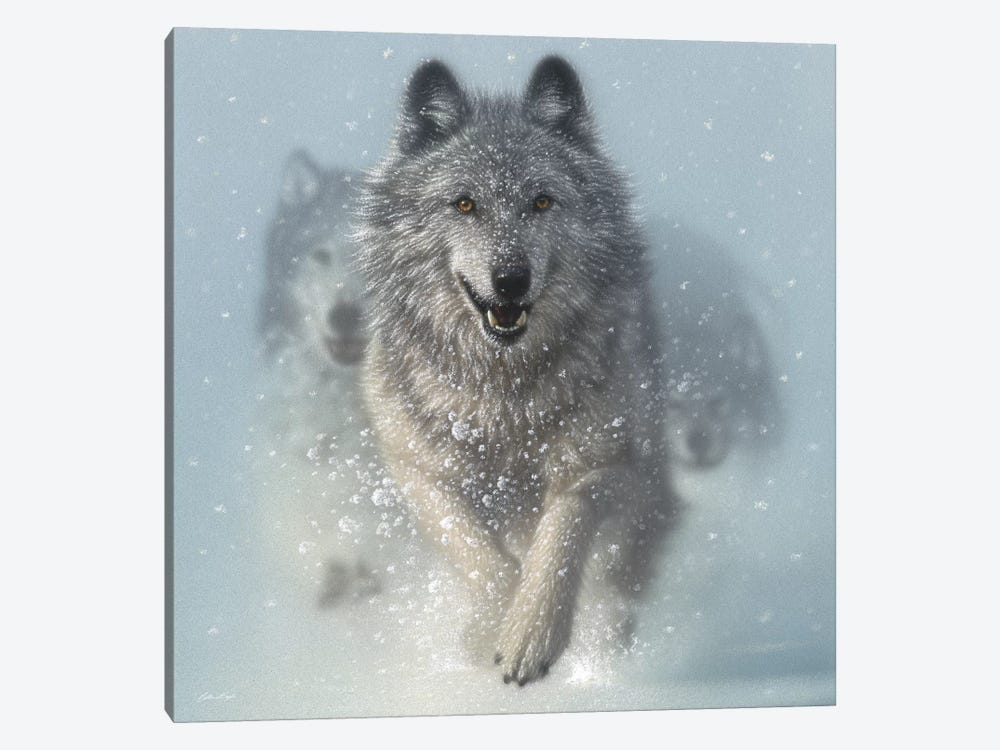 Snow Plow - Running Wolves, Square by Collin Bogle 1-piece Art Print