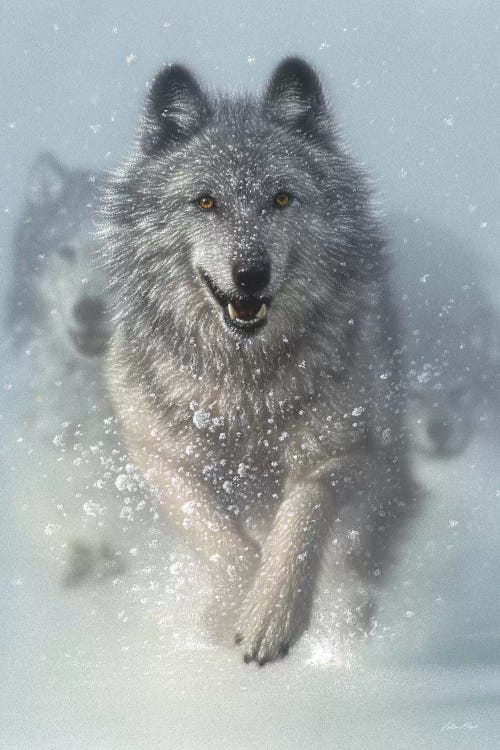 Snow Plow - Running Wolves, Vertical