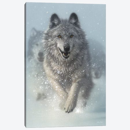 Snow Plow - Running Wolves, Vertical Canvas Print #CBO69} by Collin Bogle Canvas Print