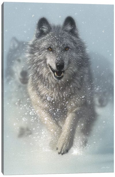 Snow Plow - Running Wolves, Vertical Canvas Art Print - Wolf Art