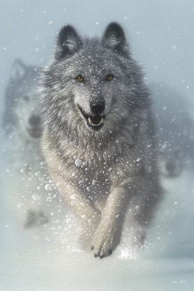 Wolves: Snow Plow - Running Wolves, Vertical by Collin Bogle