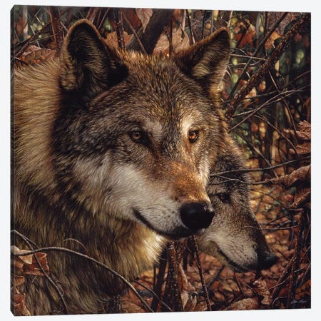 Autumn Wolves, Square Canvas Print #CBO6} by Collin Bogle Canvas Print