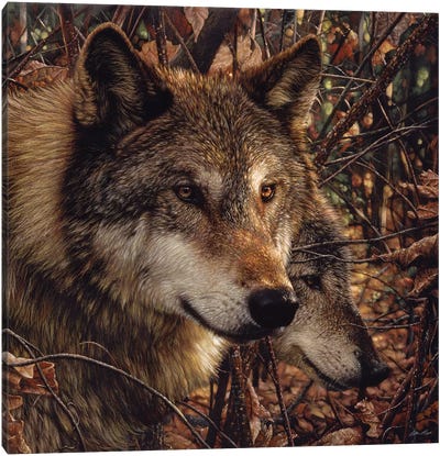 Autumn Wolves, Square Canvas Art Print - Collin Bogle