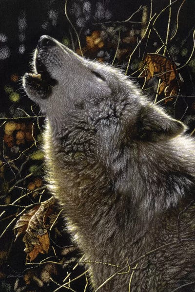 Howling Wolves' Songs Of Autumn, Square by Collin Bogle acrylic art print