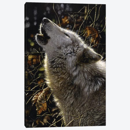 Howling Wolves' Songs Of Autumn, Square Canvas Print #CBO71} by Collin Bogle Canvas Art