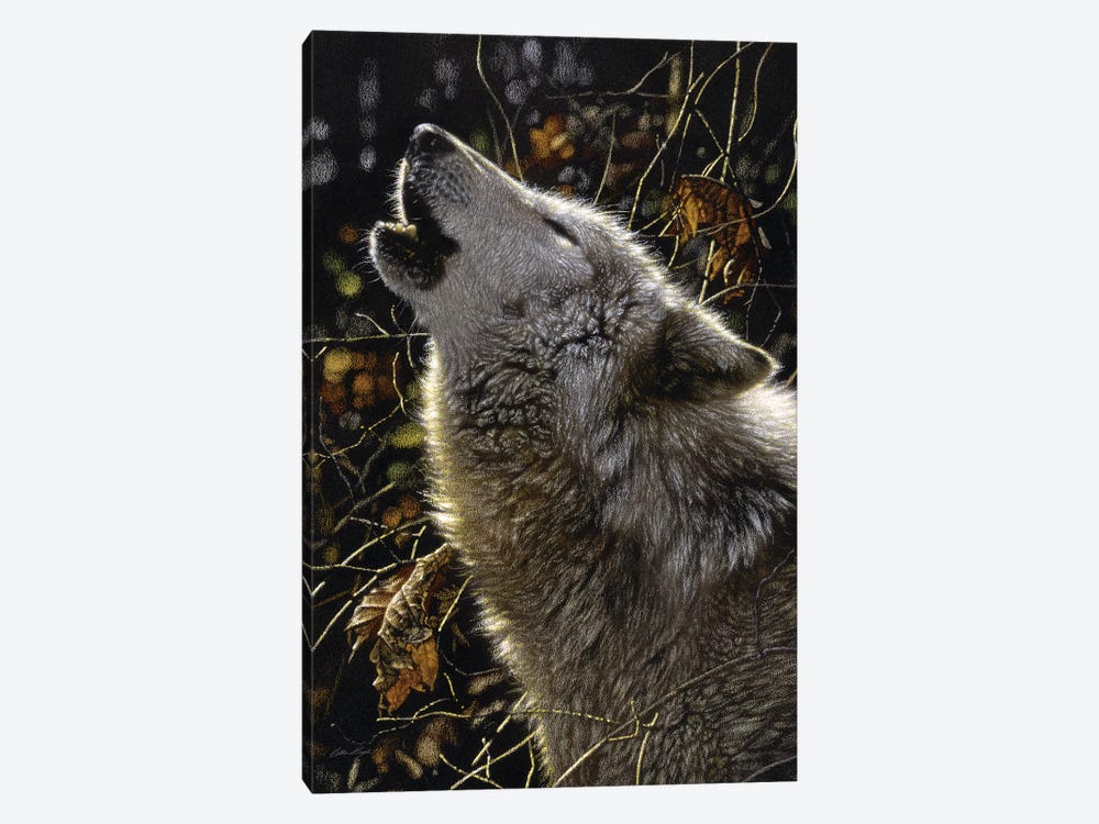 Howling Wolves' Songs Of Autumn, Square by Collin Bogle 1-piece Canvas Print