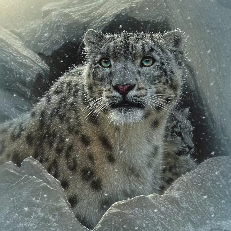 Snow Leopard Fortress, Square