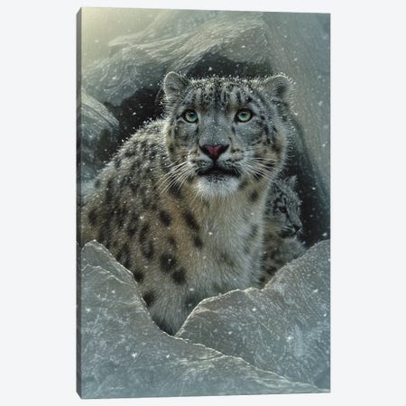 Snow leopard Fortress, Vertical Canvas Print #CBO73} by Collin Bogle Canvas Artwork
