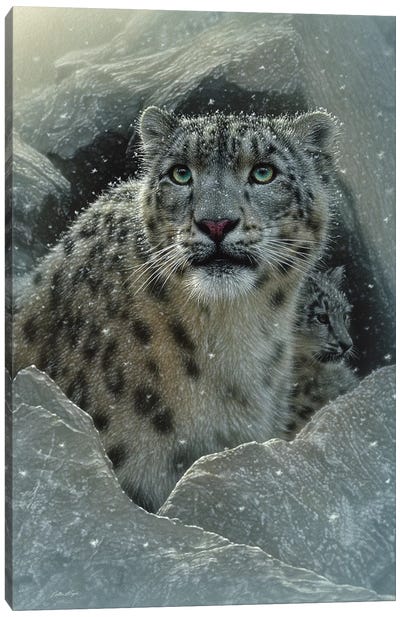 Snow leopard Fortress, Vertical Canvas Art Print - Collin Bogle