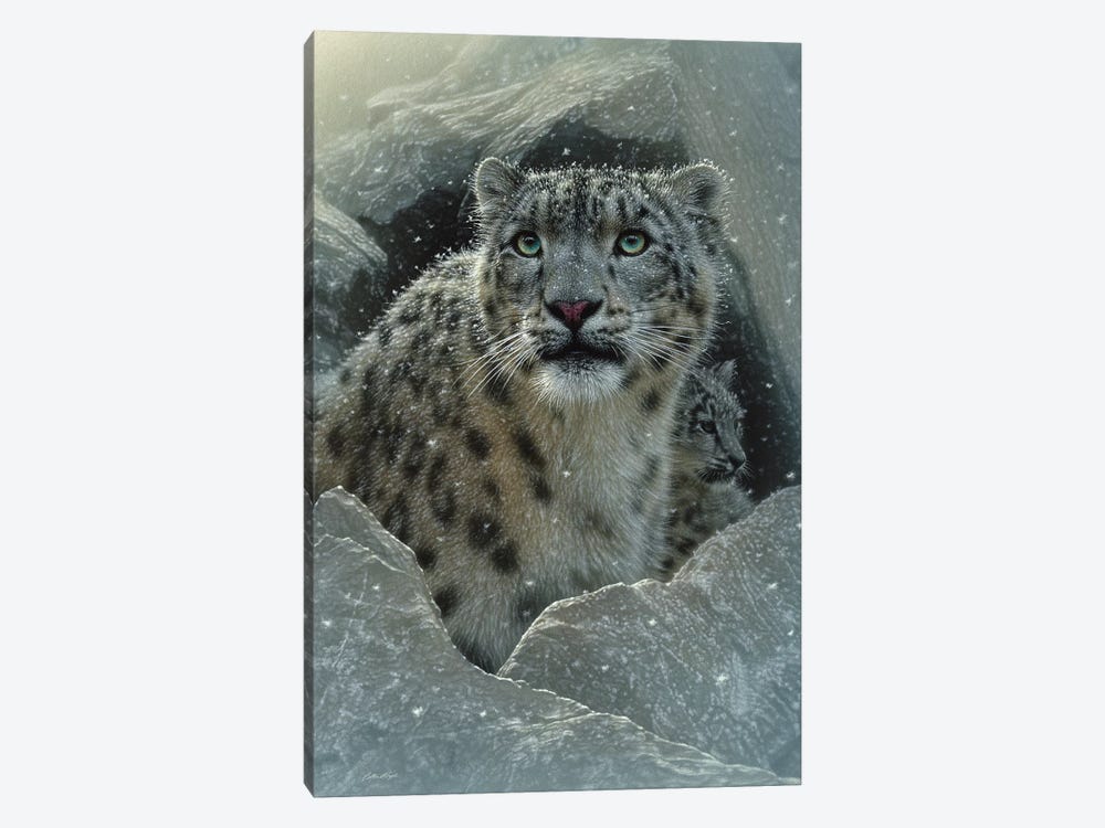 Snow leopard Fortress, Vertical by Collin Bogle 1-piece Canvas Print