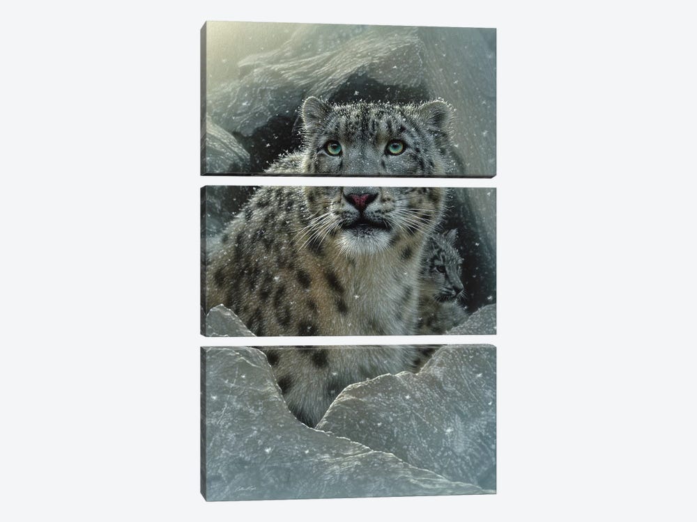 Snow leopard Fortress, Vertical by Collin Bogle 3-piece Art Print