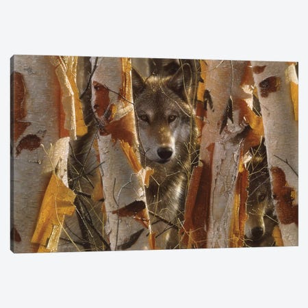 Wolf Guardian, Horizontal Canvas Print #CBO74} by Collin Bogle Canvas Art Print