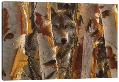Wolf Guardian, Horizontal Canvas Art Print - Tree Close-Up Art