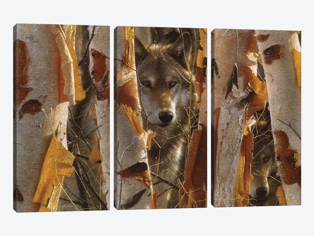 Wolf Guardian, Horizontal by Collin Bogle 3-piece Canvas Art