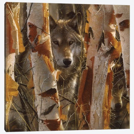 Wolf Guardian, Square Canvas Print #CBO75} by Collin Bogle Canvas Art Print