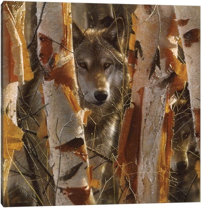 Wolf Guardian, Square Canvas Art Print - Aspen and Birch Trees