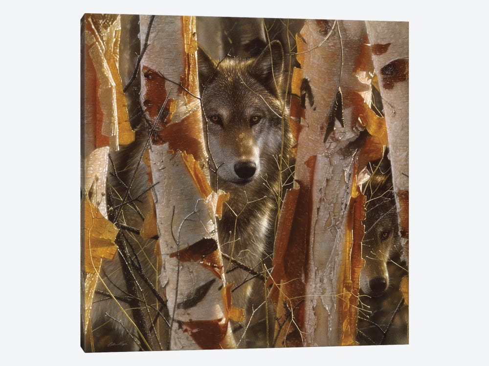 Wolf Guardian, Square by Collin Bogle 1-piece Canvas Art Print