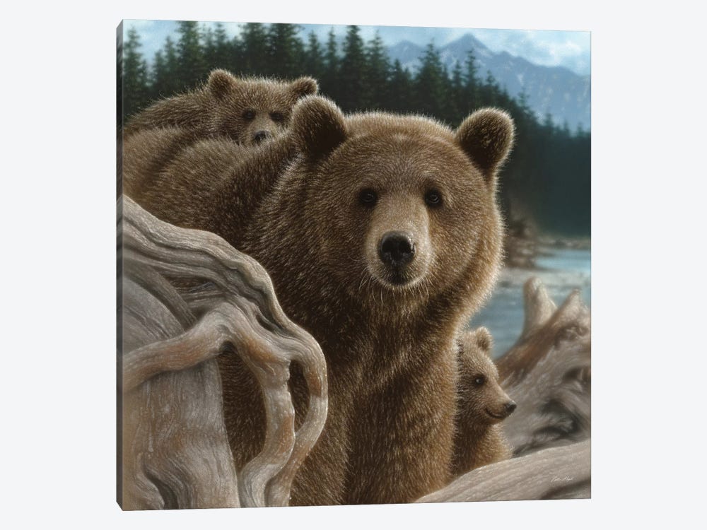 Brown Bears Backpacking, Square by Collin Bogle 1-piece Canvas Art
