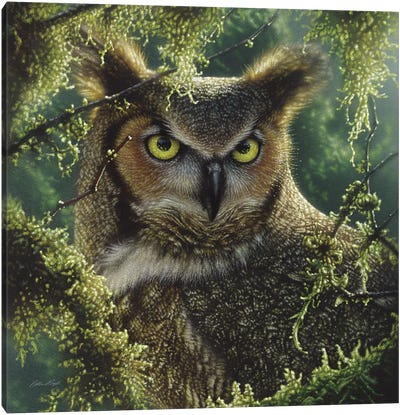 Watching And Waiting - Great Horned Owl, Square Canvas Art Print - Owl Art