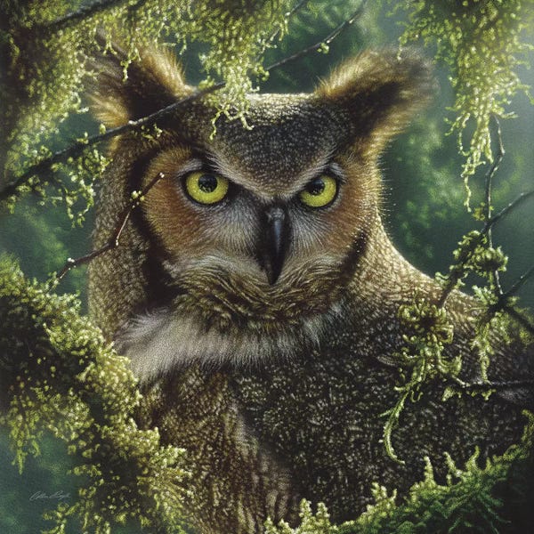 Photorealism: Watching And Waiting - Great Horned Owl, Square by Collin Bogle