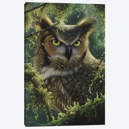 Watching And Waiting - Great Horned Owl, Vertical Canvas Print #CBO81} by Collin Bogle Canvas Print