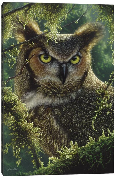 Watching And Waiting - Great Horned Owl, Vertical Canvas Art Print - Collin Bogle