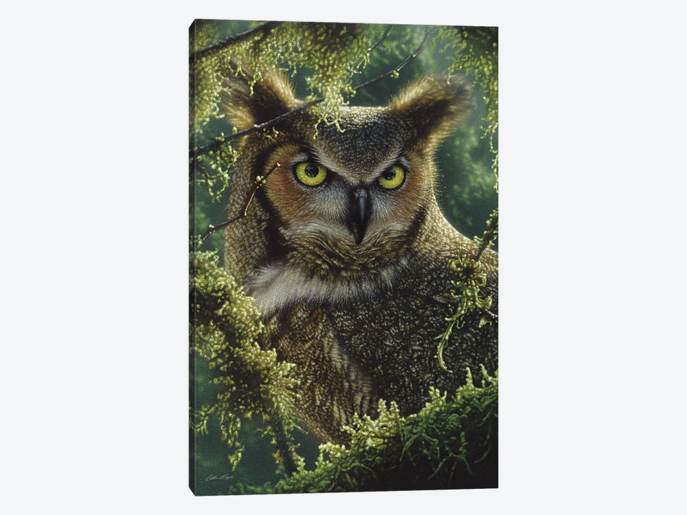 Watching And Waiting - Great Horned Owl, Vertical by Collin Bogle 1-piece Canvas Art