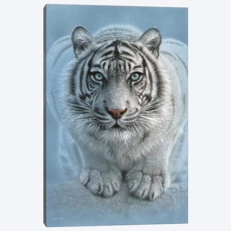 Wild Intentions - White Tiger, Vertical Canvas Print #CBO88} by Collin Bogle Canvas Art Print